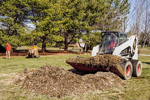 Bedford-stump-grinding-land-clearing