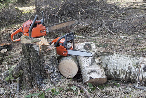 Bedford-stump-grinding-services