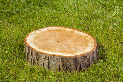 bedford-stump-grinding-grind-stump