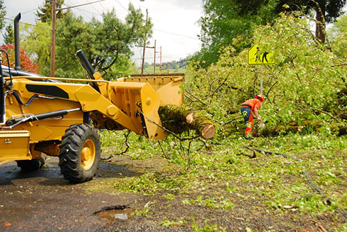 bedford-stump-grinding-lot-clearing